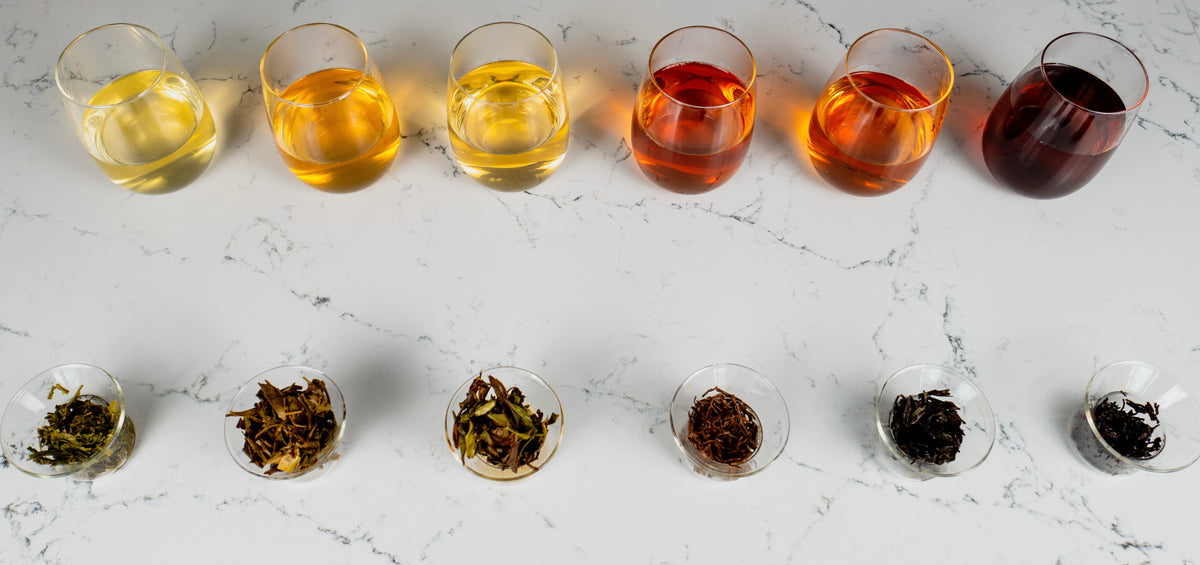 Discover the World of Tea: From Delicate White to Bold Black and Everything In Between