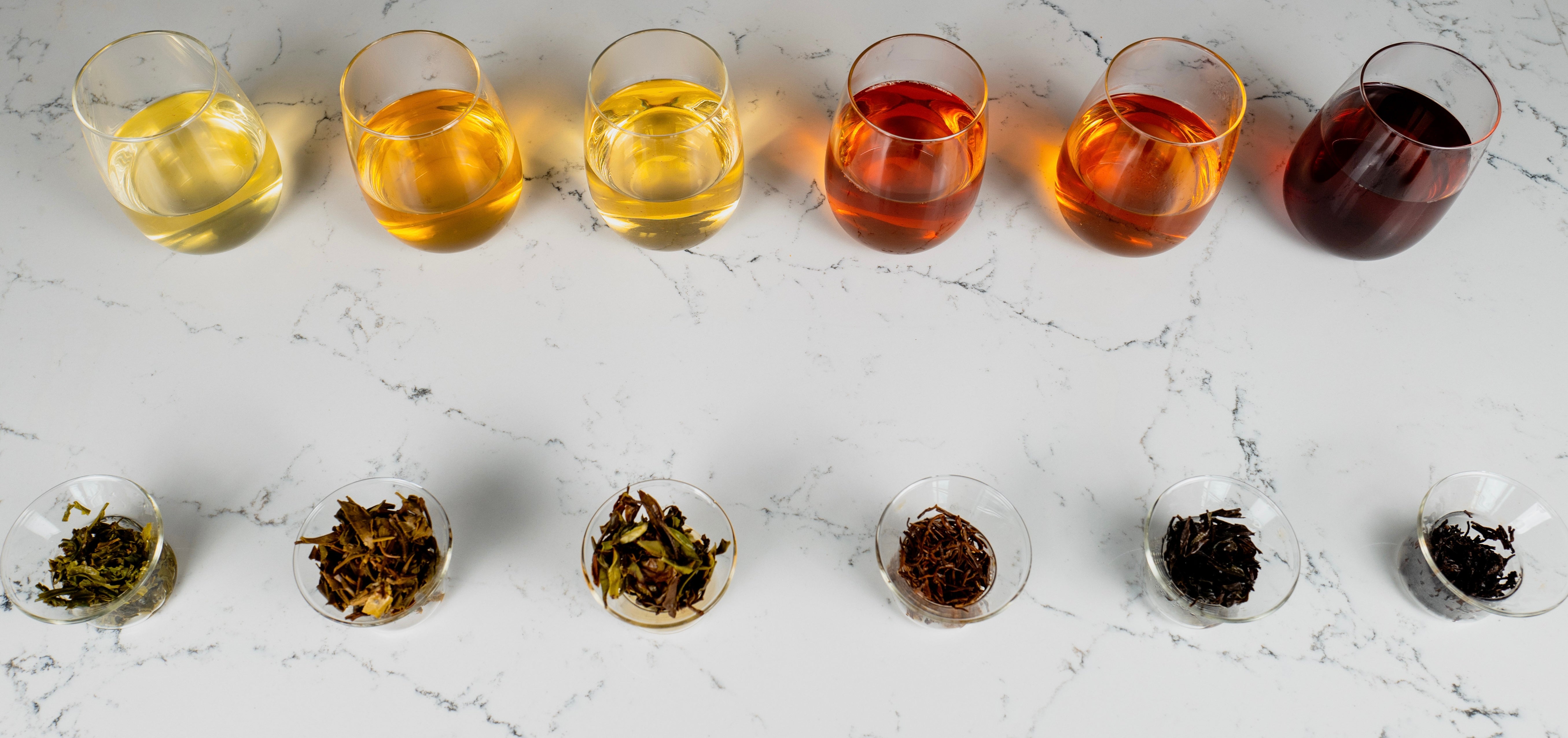 Discover the World of Tea: From Delicate White to Bold Black and Everything In Between