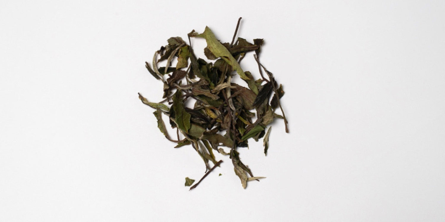 White Peony Tea