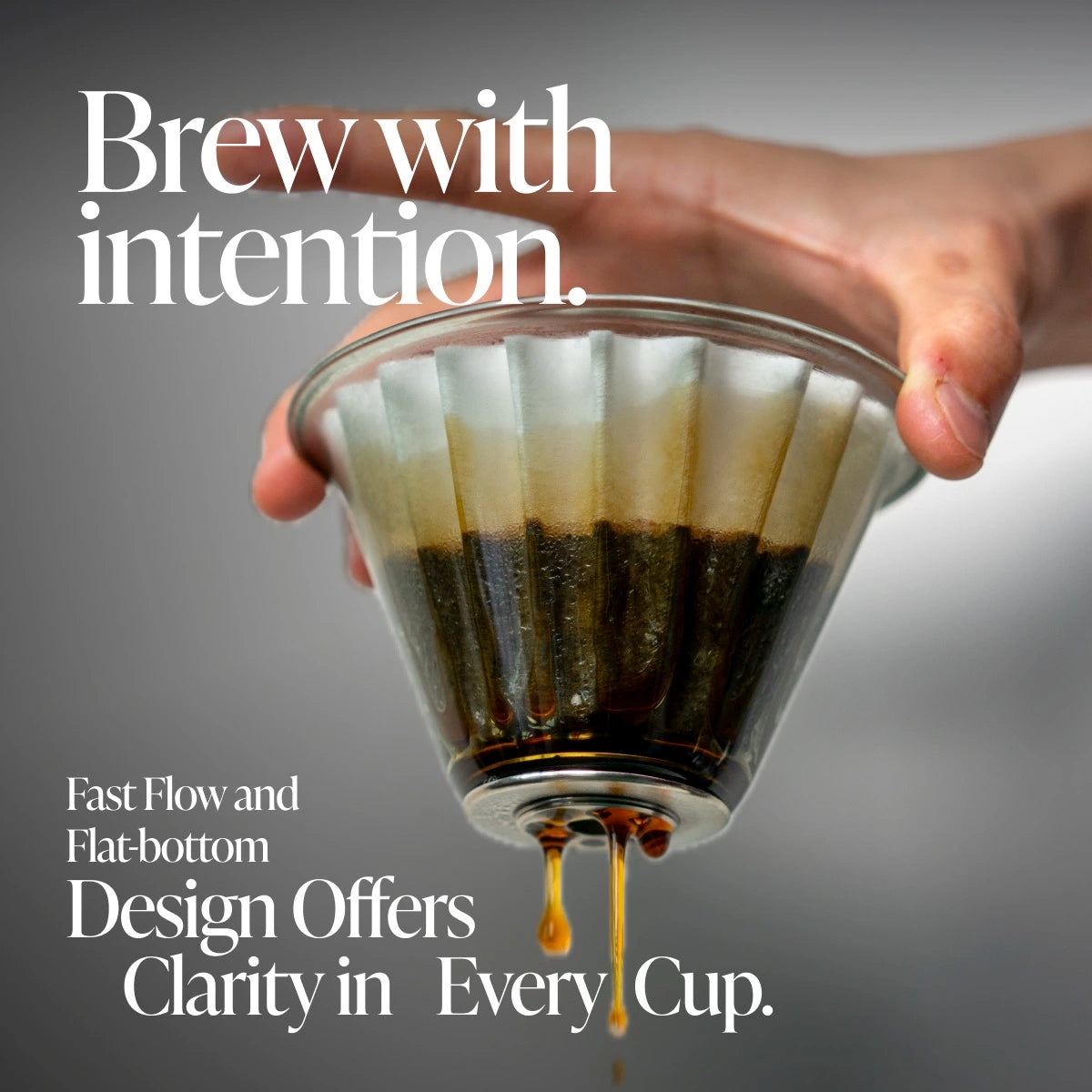 Volarr Wave Coffee Filters