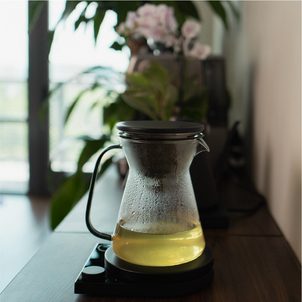 Volarr Brewer V2
